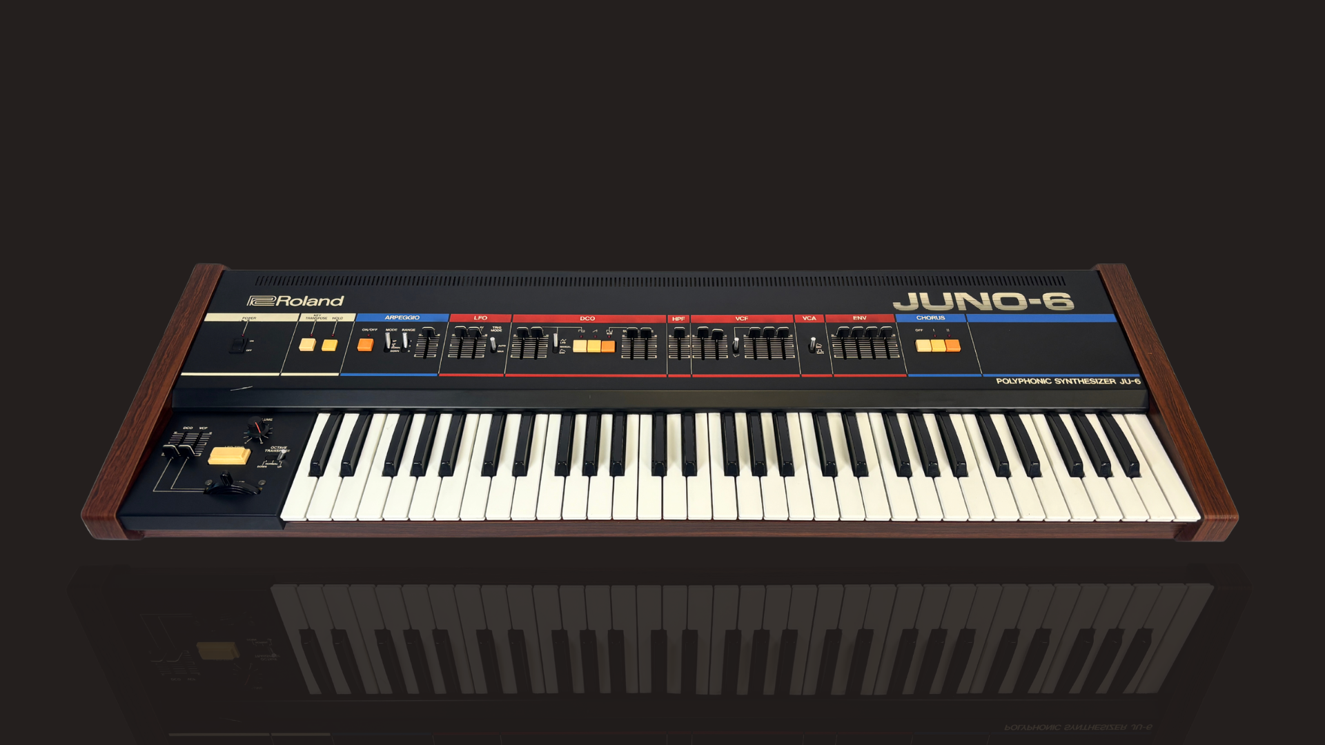 FRESH ARRIVALS THIS WEEK