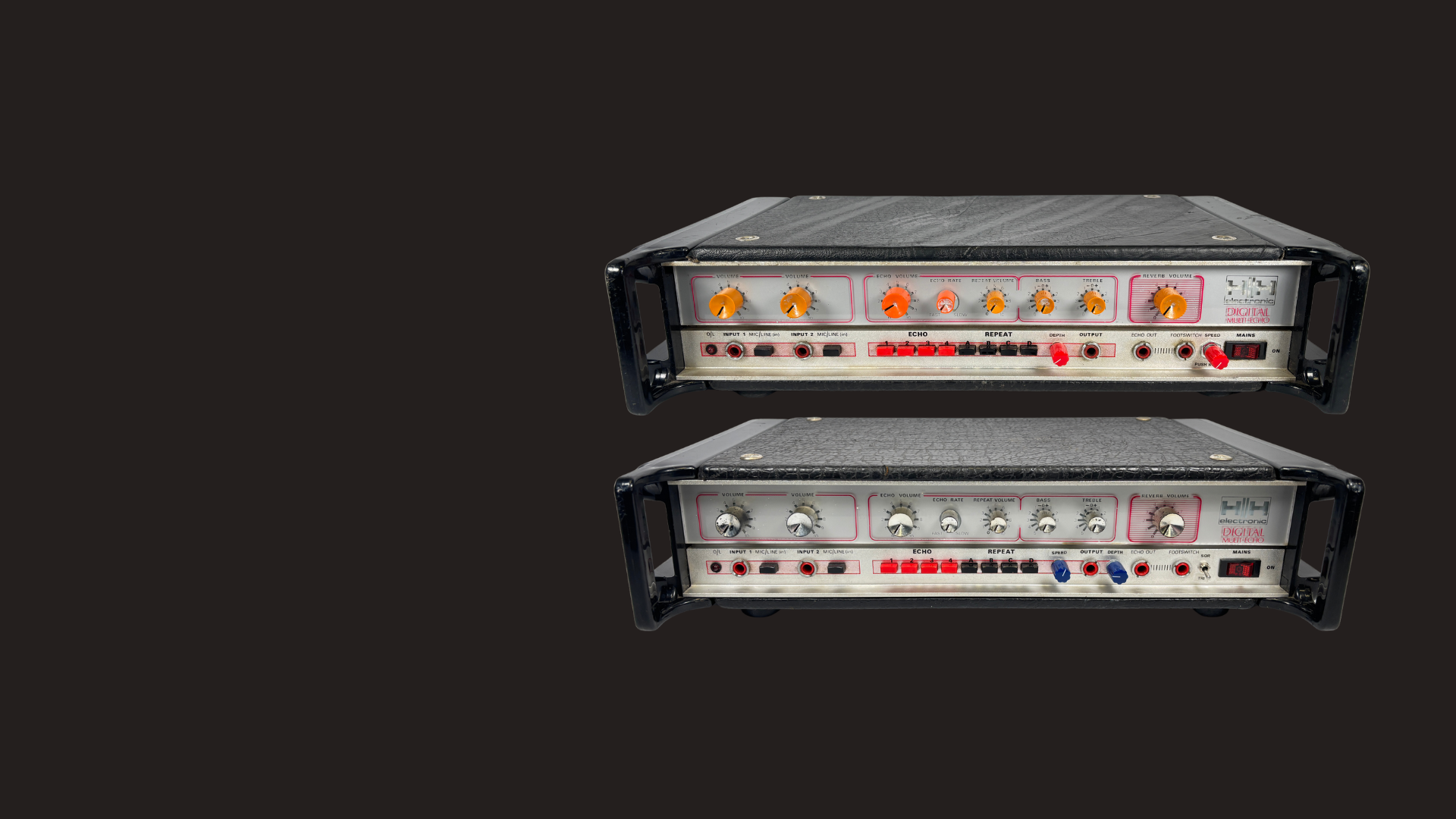 FRESH ARRIVALS THIS WEEK