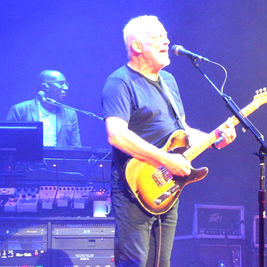 Official: Gilmour used Dawner Prince's Boonar on stage at the Royal Albert Hall