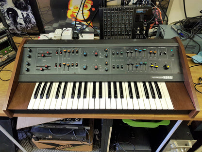 Korg Maxi-Korg 800DV