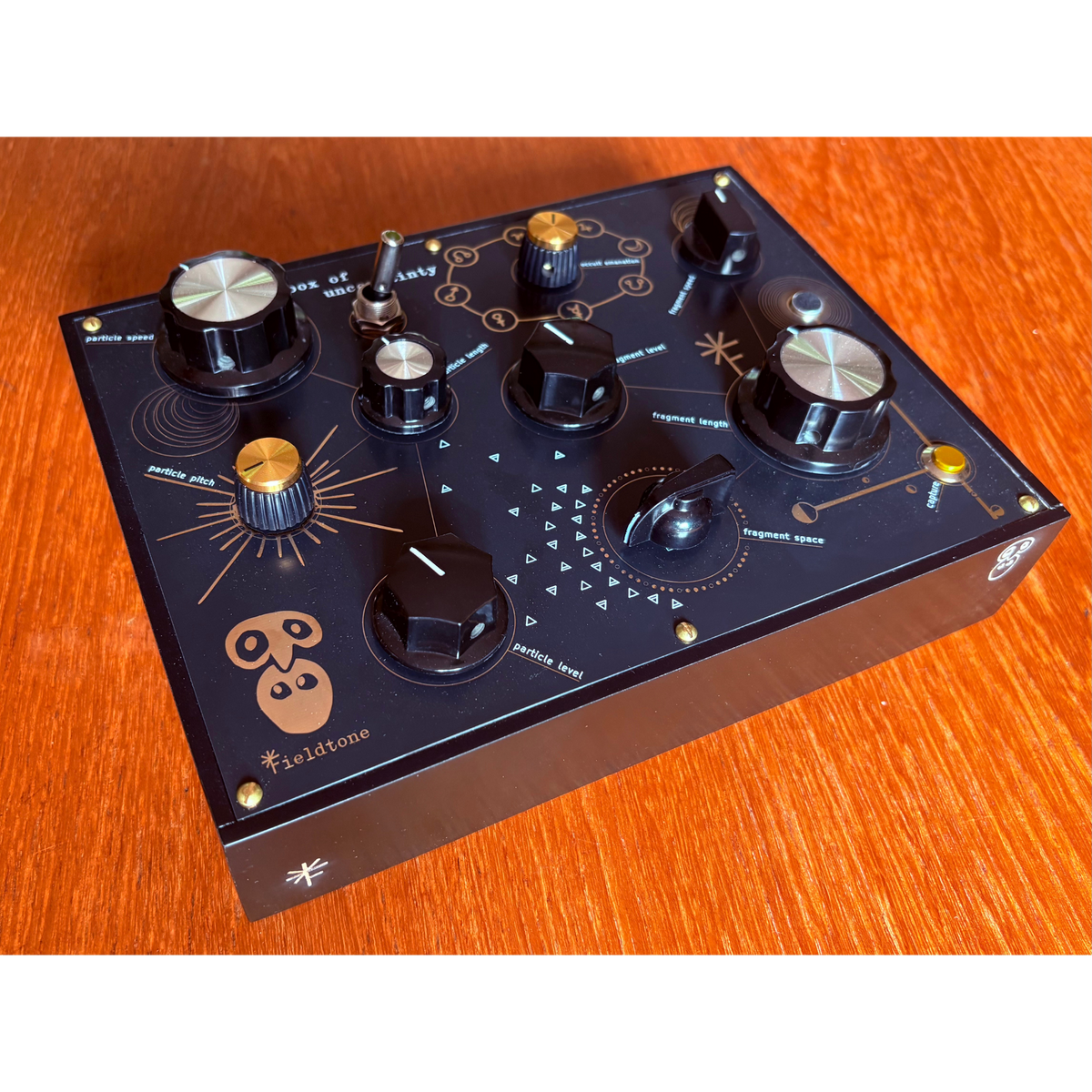 Fieldtone Box Of Uncertainty #500 Charity Auction