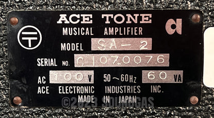 Ace Tone Model SA-2 Combo Amp