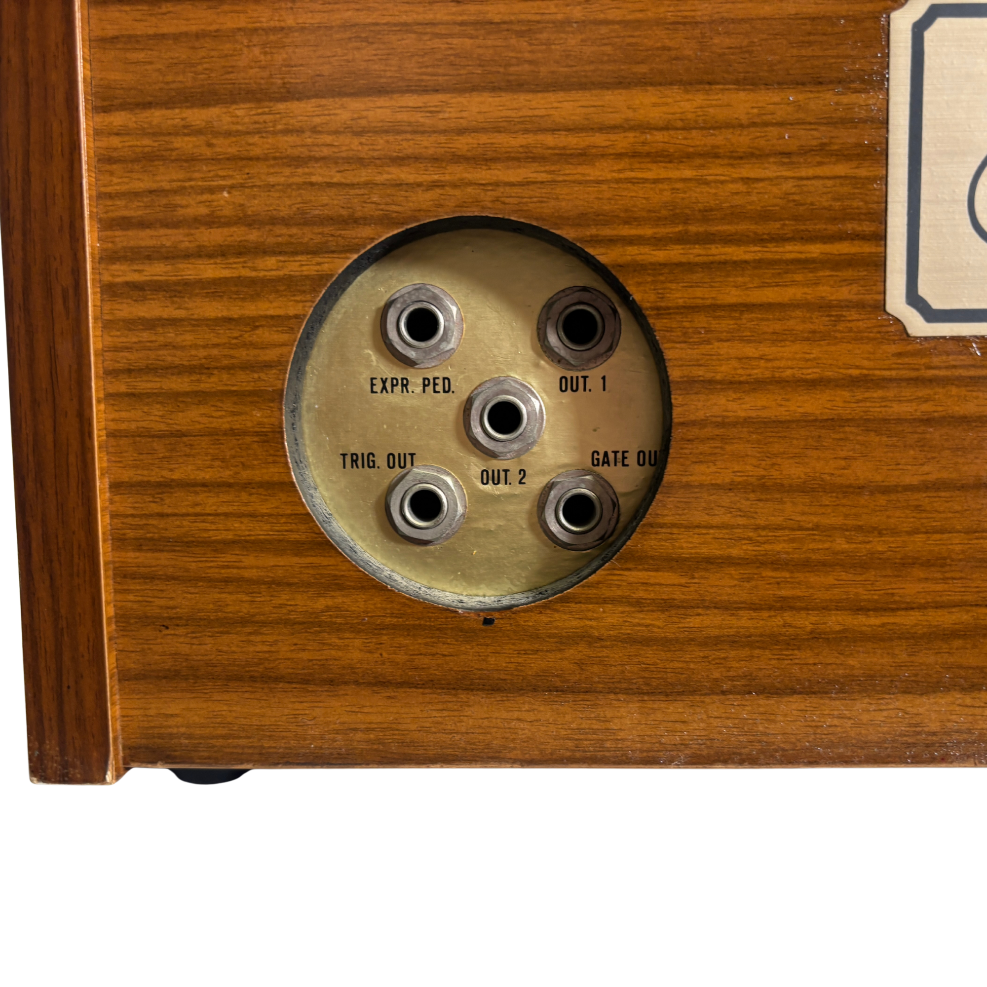 Arp String Ensemble Sockets (96915)