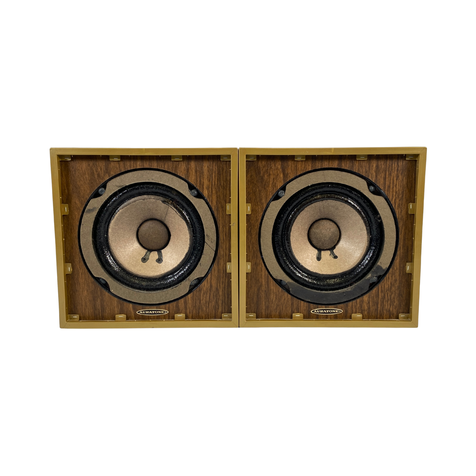AuraTone 5C Super-Sound Cube Pair (Serials 731483/731437 AuraTone 5C Super-Sound Cube Pair (Serials 731483/731437