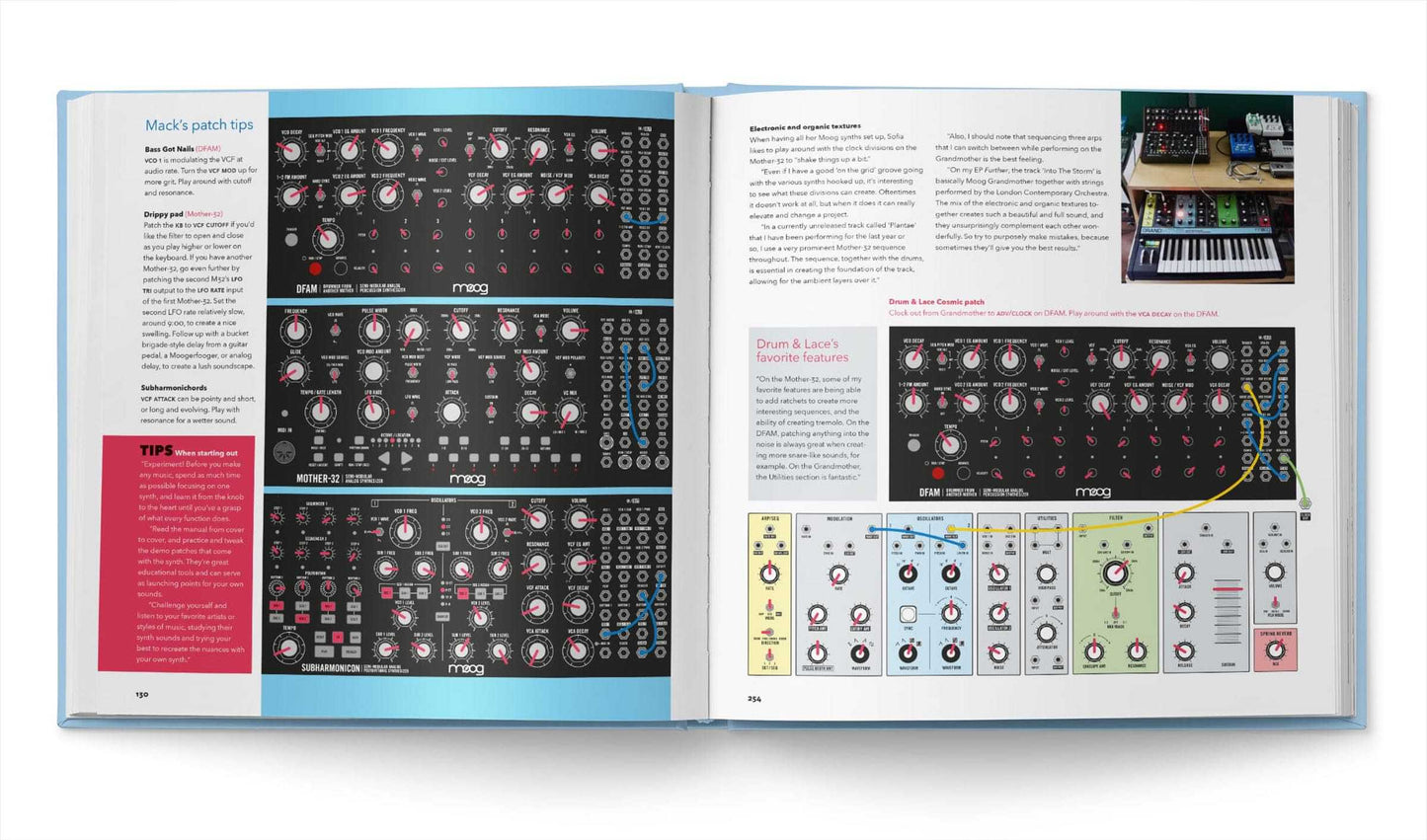 Bjooks Patch and Tweak with Moog