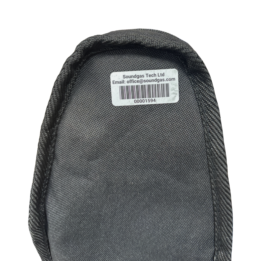 Brian by Bacchus BFV-498 Flying V Electric Guitar - BC 1594 barcode