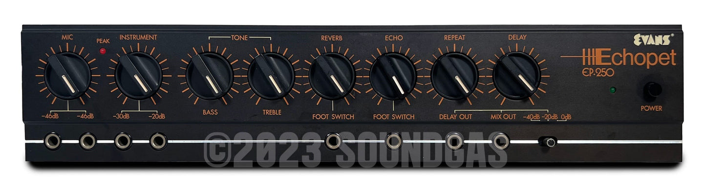 Evans Echopet EP-250 Delay + Spring Reverb