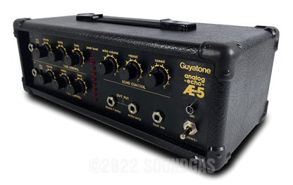 Guyatone AE-5 Analog Echo