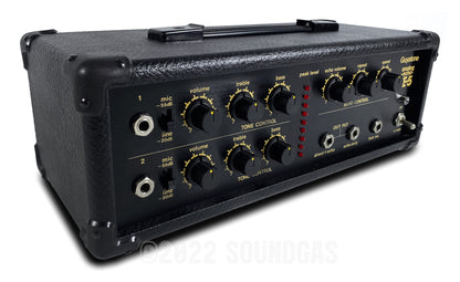 Guyatone AE-5 Analog Echo