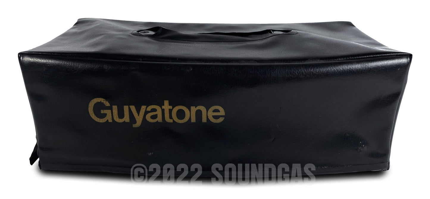 Guyatone AE-5 Analog Echo