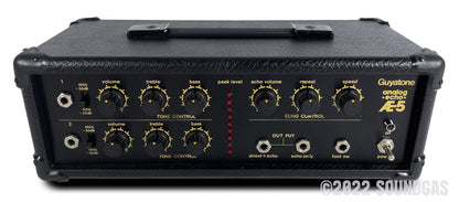 Guyatone AE-5 Analog Echo