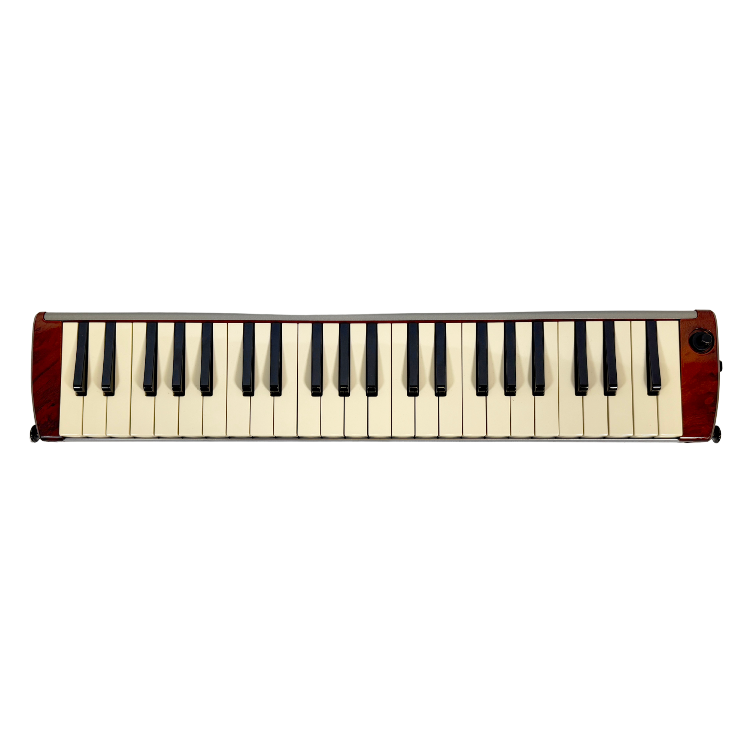Hammond PRO-44 HP Amplified Melodica/Melodian_2