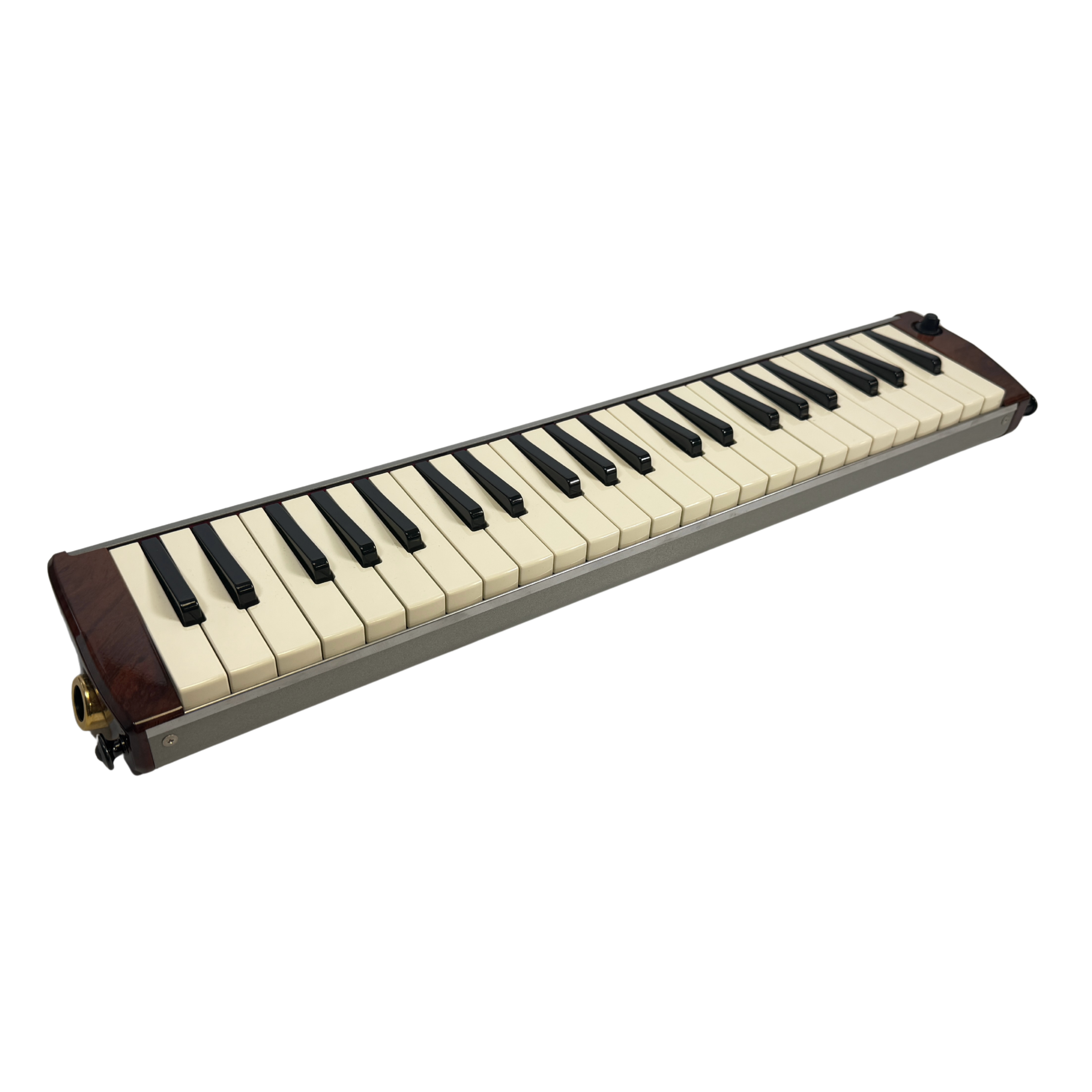Hammond PRO-44 HP Amplified Melodica/Melodian_4