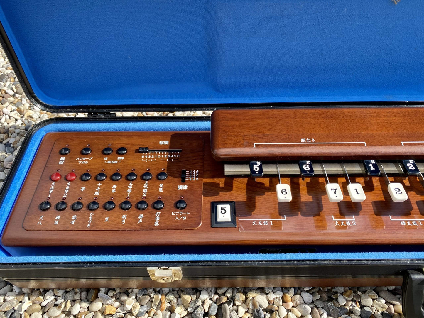 Suzuki TES-101 Waraku Koto Synth (Nr Mint)