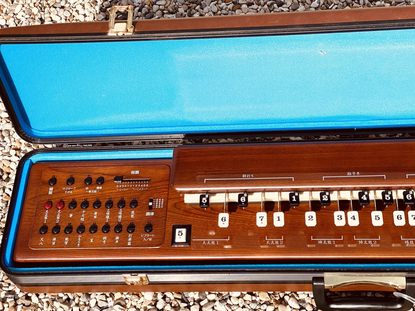 Suzuki TES-101 Waraku Koto Synth (Nr Mint)