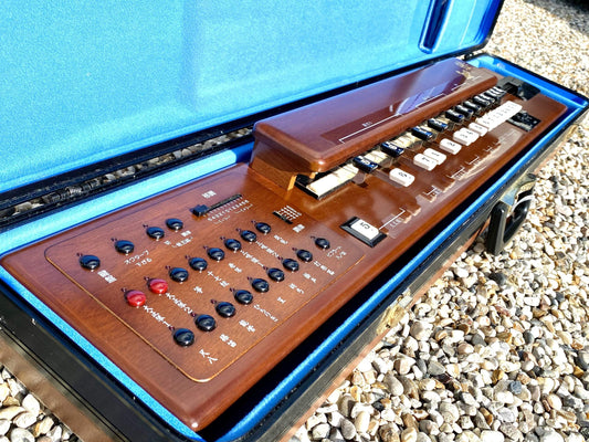 Suzuki TES-100 Waraku Koto Synth