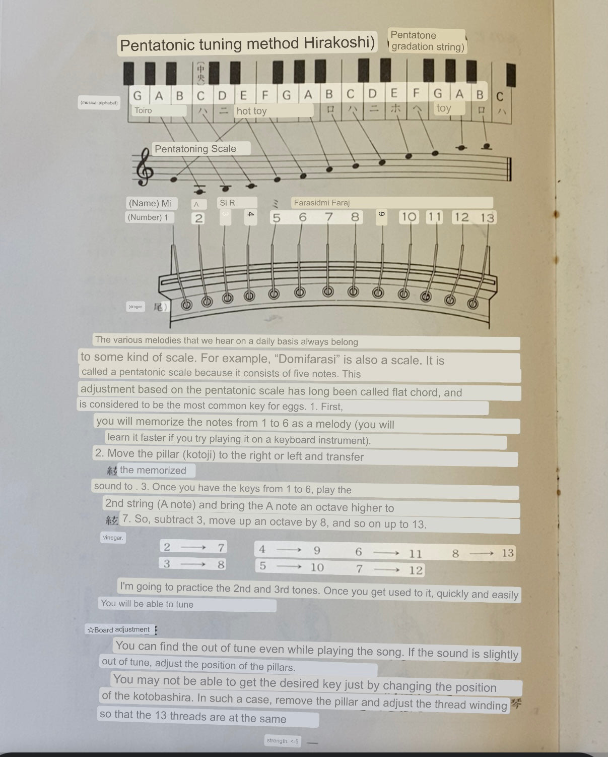 13 String Koto (3ft) c1974