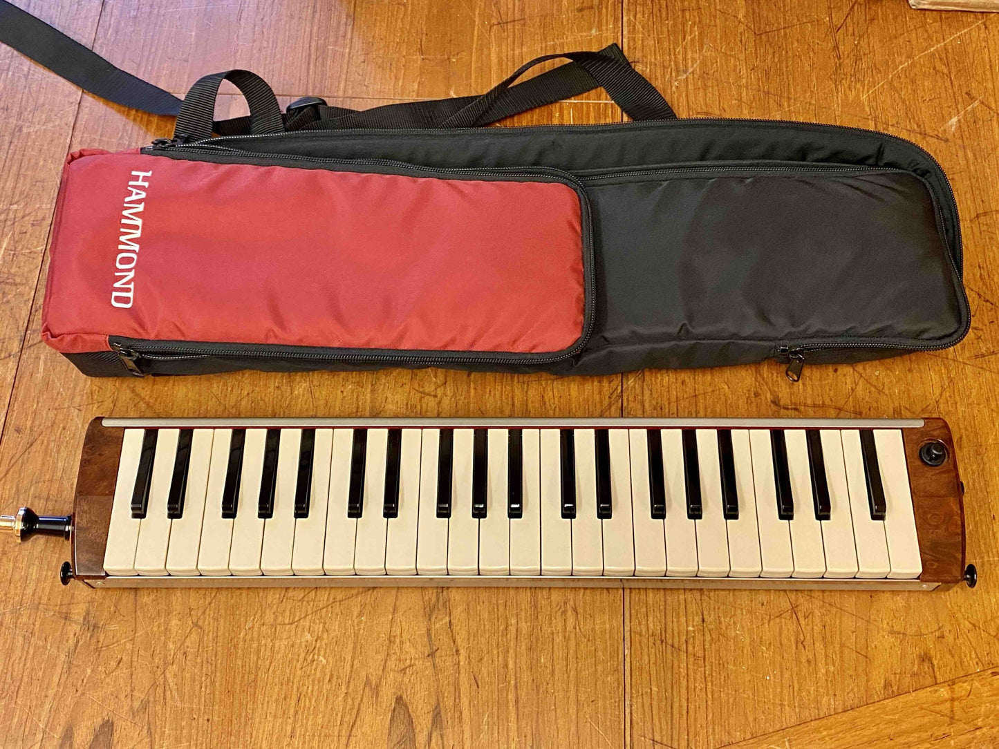 Toy Store: Hammond PRO-44H V2 Melodica (Melodian)