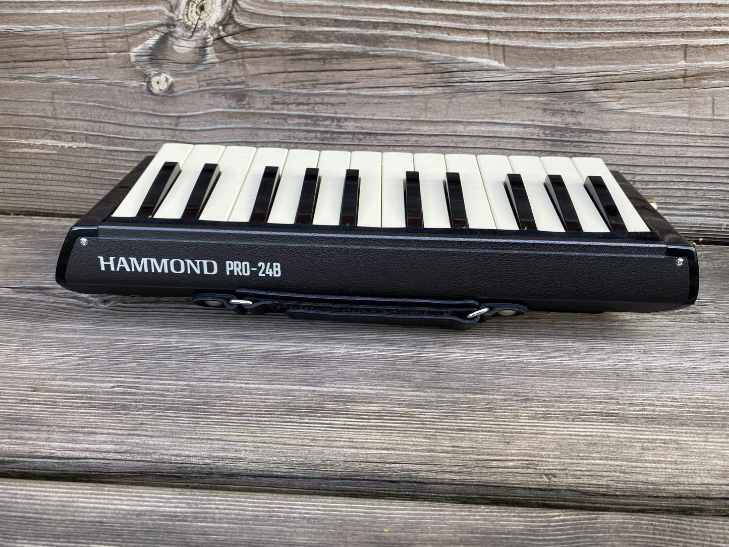 Toy Store: Hammond PRO-24B Amplified Bass Melodion/Melodica