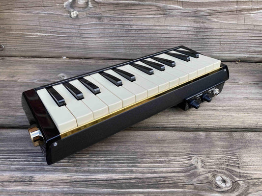 Toy Store: Hammond PRO-24B Amplified Bass Melodion/Melodica