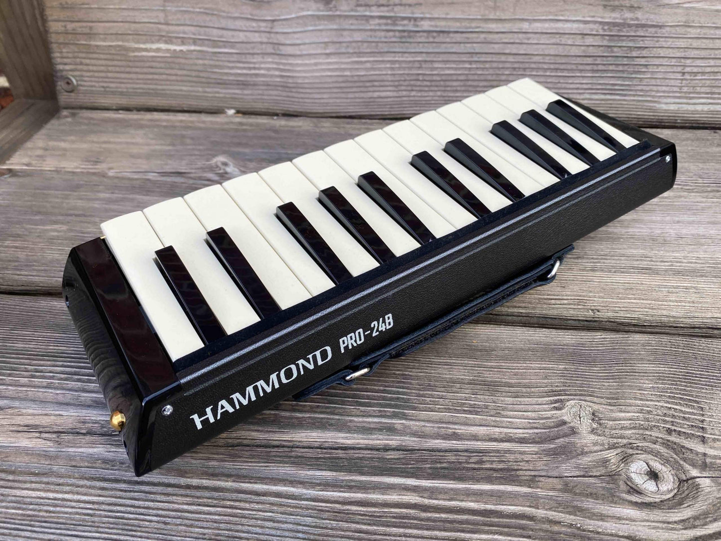 Toy Store: Hammond PRO-24B Amplified Bass Melodion/Melodica