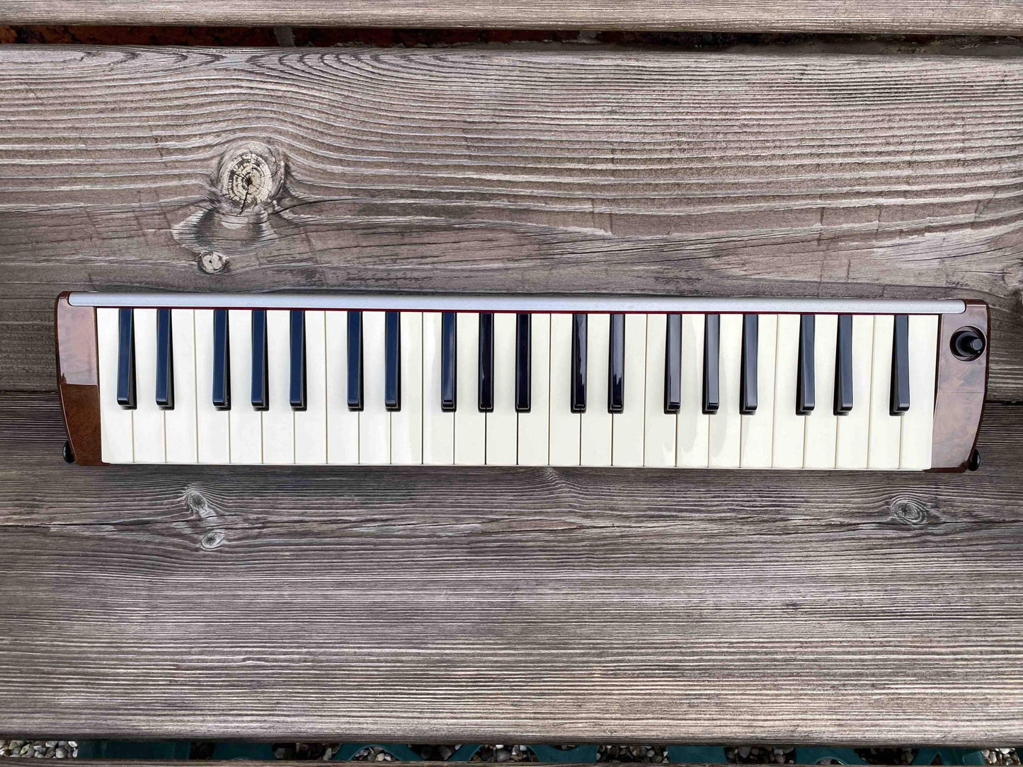 Toy Store: Hammond PRO-44H Amplified Melodica/Melodian