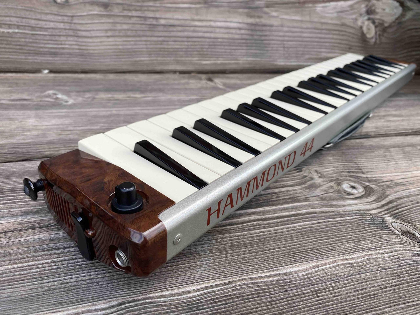 Toy Store: Hammond PRO-44H Amplified Melodica/Melodian