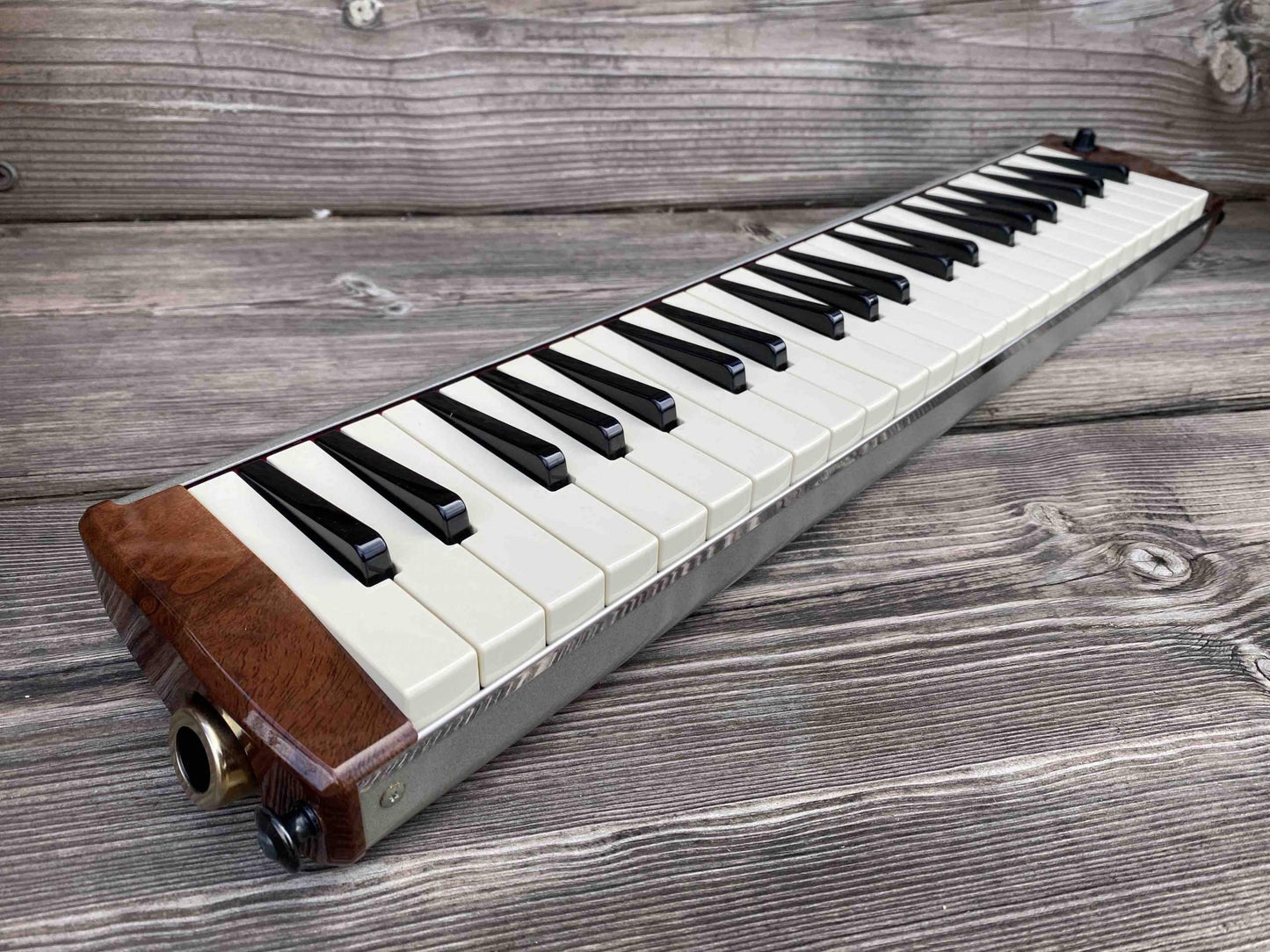 Toy Store: Hammond PRO-44H Amplified Melodica/Melodian