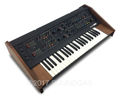 Korg Maxi-Korg 800DV - Cased