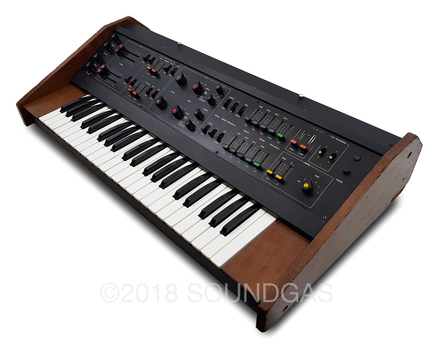 Korg Maxi-Korg 800DV