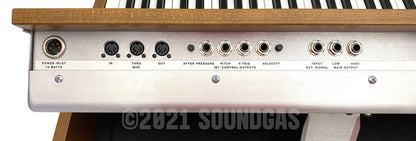 Moog MiniMoog Model D Reissue