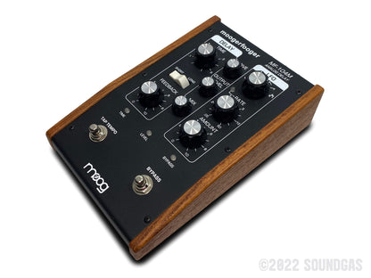 Moogerfooger Analog Delay MF-104M