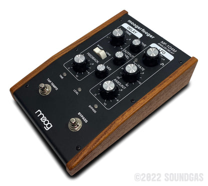 Moogerfooger Analog Delay MF-104M