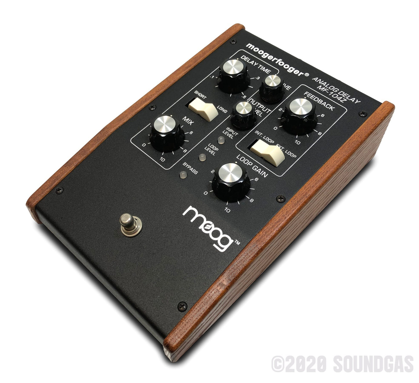 Moogerfooger Analog Delay MF-104Z