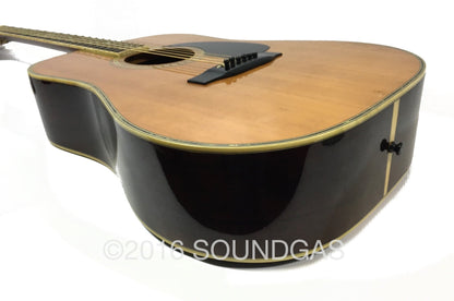 Morris W65M Acoustic Guitar