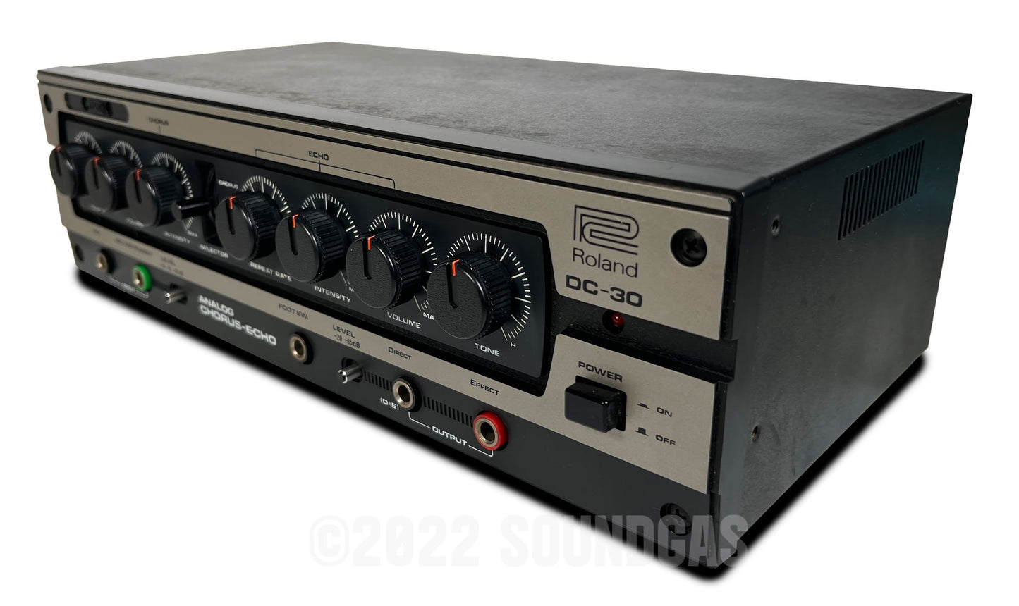 Roland DC-30 Chorus Echo (Boss DM-300)