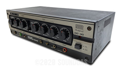 Roland DC-30 Chorus Echo (Boss DM-300)