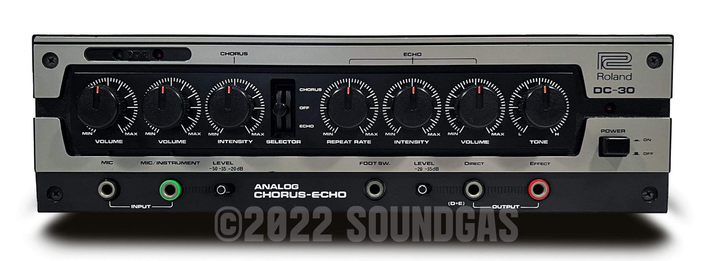 Roland DC-30 Chorus Echo (Boss DM-300)