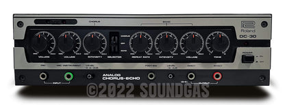 Roland DC-30 Chorus Echo (Boss DM-300)