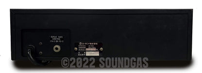 Roland DC-30 Chorus Echo (Boss DM-300)