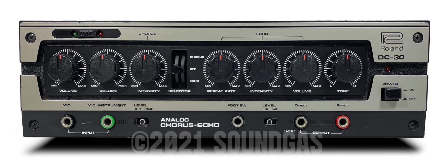 Roland DC-30 Chorus Echo (Boss DM-300)