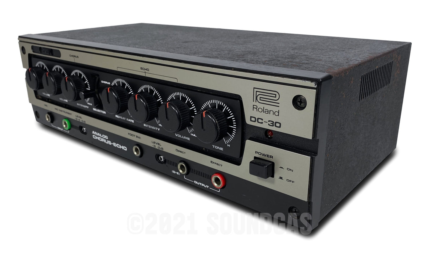 Roland DC-30 Chorus Echo (Boss DM-300)