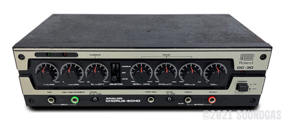 Roland DC-30 Chorus Echo (Boss DM-300)