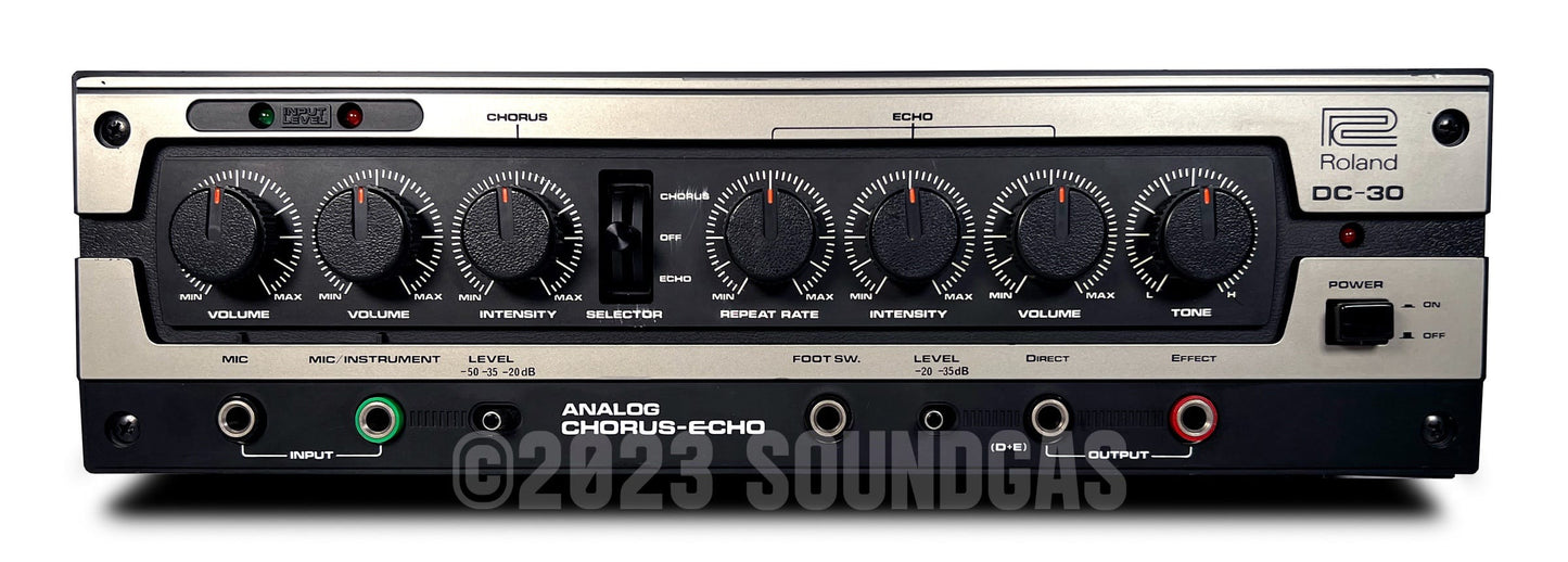 Roland DC-30 Chorus Echo (Boss DM-300)