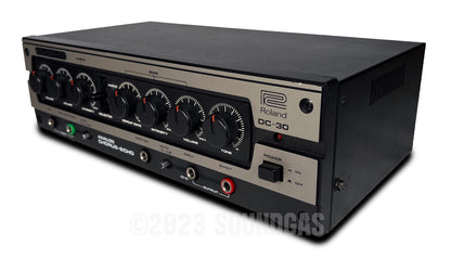 Roland DC-30 Chorus Echo (Boss DM-300)