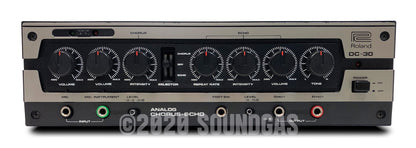 Roland DC-30 Chorus Echo (Boss DM-300)