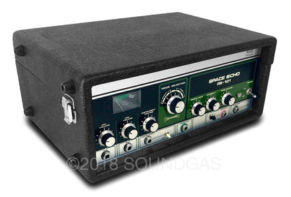 Roland RE-101 Space Echo