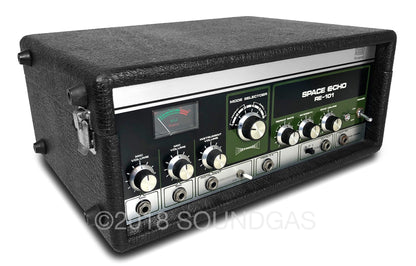 Roland RE-101 Space Echo