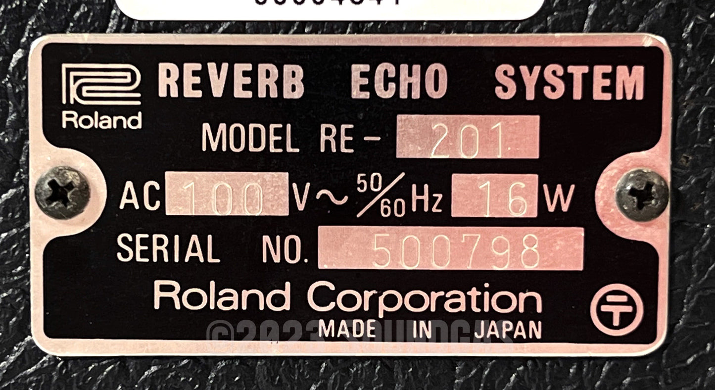 Roland RE-201 Space Echo - Zero Head Gain