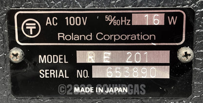 Roland RE-201 Space Echo